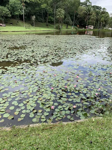 Foto 34 de Jardim Botânico de São Paulo