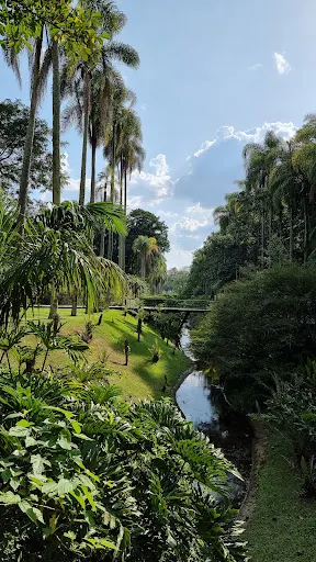 Foto 20 de Parque Estadual das Fontes do Ipiranga