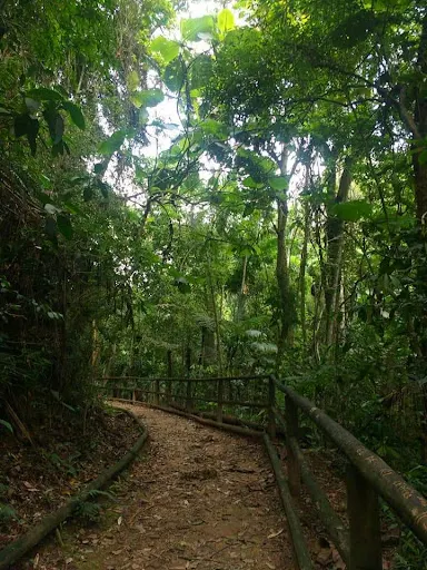 Foto 35 de Trilha do Silêncio
