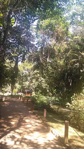 Foto 40 de Zoobosque