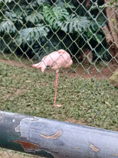 Foto 35 de Zoo São Paulo