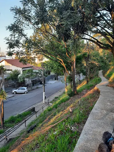 Foto 10 de ParCão Lapa - Praça Amadeu Decome