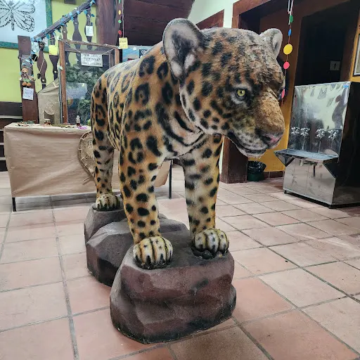 Foto 11 de Centro de Educação Ambiental - Parque Ecológico do Tietê