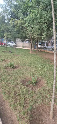 Foto 29 de Parque Ecológico Fernando Vitor de Araújo Ales (Pq. do Eldorado)