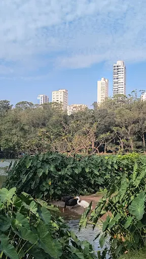 Foto 40 de Parque da Aclimação