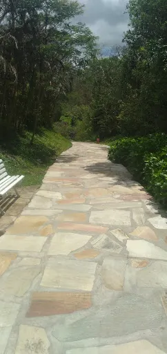 Foto 19 de Borboletário de São Paulo