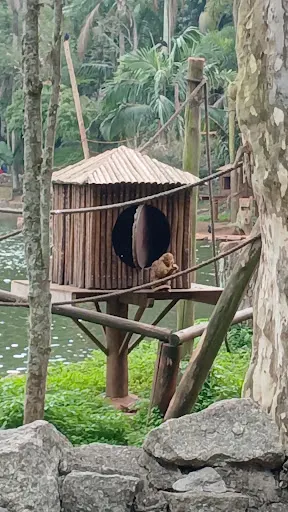 Foto 25 de Zoo São Paulo