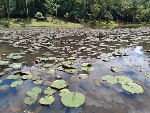 Foto 10 de Parque Estadual das Fontes do Ipiranga