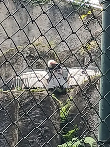 Foto 20 de Zoo São Paulo