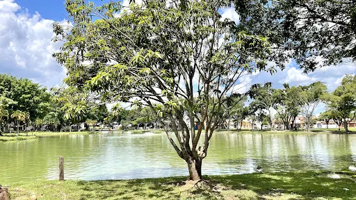 Foto 33 de Parque Lagoa dos Pássaros