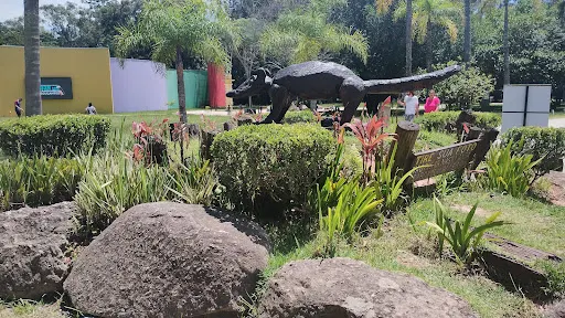 Foto 40 de Trem Turístico - Parque Ecológico
