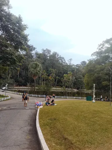 Foto 34 de Parque Estadual Alberto Löfgren - Horto Florestal