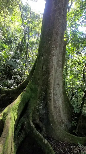 Foto 40 de Parque Estadual Cantareira - Núcleo Pedra Grande