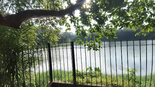 Foto 32 de Parque da Aclimação