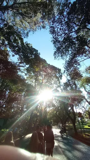 Foto 16 de Parque Ibirapuera