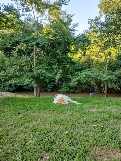 Foto 20 de Camping Recanto Passa 5