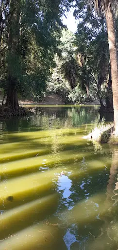 Foto 15 de Parque Horto Florestal - Portões 1 e 2