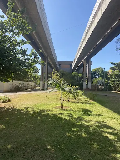 Foto 19 de Parque Benemérito José Brás
