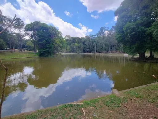Foto 9 de Palácio do Horto Florestal (Palácio de Verão do Governador)