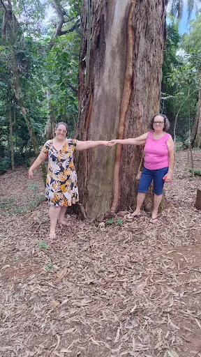 Foto 17 de Parque Ecológico Chico Mendes