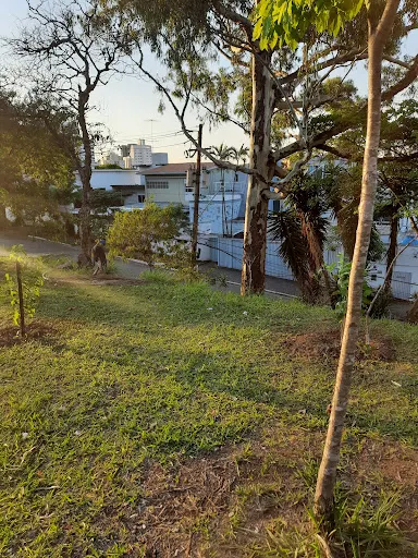 Foto 16 de ParCão Lapa - Praça Amadeu Decome