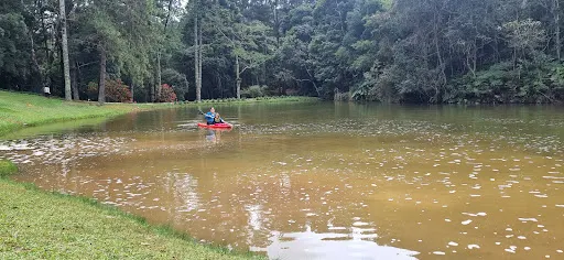 Foto 23 de Voador