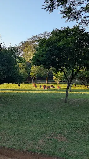 Foto 29 de Parque Portugal Campinas