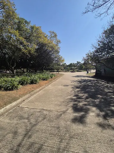 Foto 35 de Parque Estadual do Belém Manoel Pitta