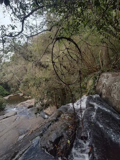 Foto 32 de Trilha Cachoeira da Graça