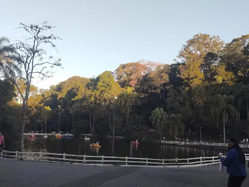 Foto 20 de Parque Estadual Alberto Löfgren - Horto Florestal