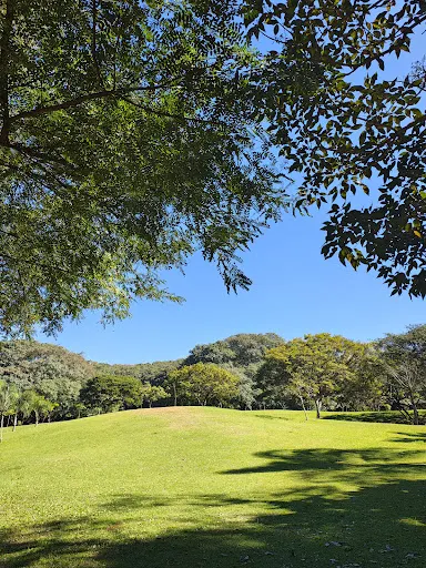 Foto 12 de Parque da Juventude