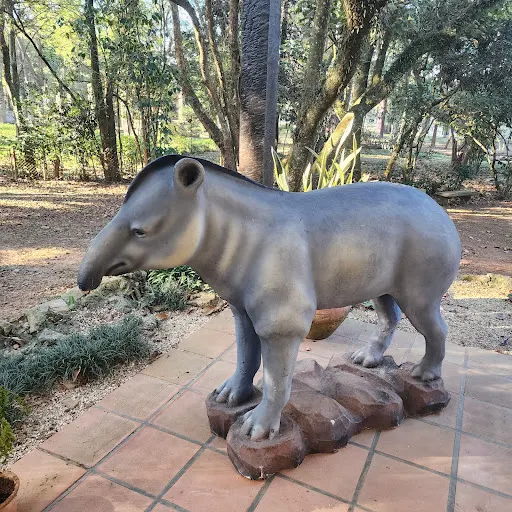 Foto 18 de Centro de Educação Ambiental - Parque Ecológico do Tietê