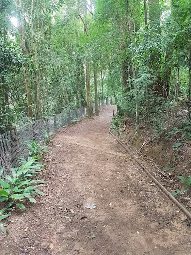 Foto 18 de Parque Alfredo Volpi