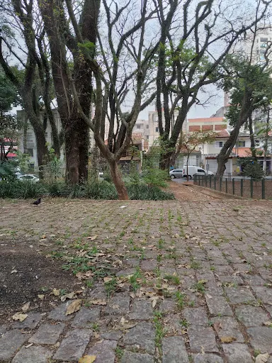 Foto 17 de Parque Domingos Luís