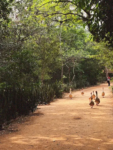 Foto 39 de Parque Ecológico Prof. Hermógenes de Freitas Leitão