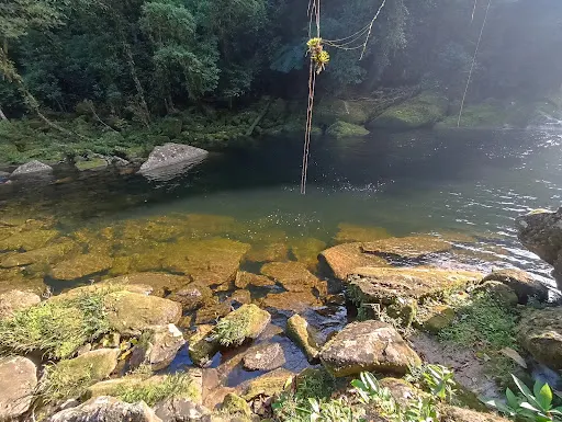 Foto 8 de Cachoeira do Rio Guacá