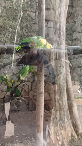 Foto 34 de Zoo São Paulo