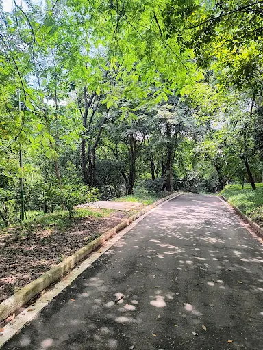 Foto 28 de Parque Ecológico Dionísio Alvarez Mateos