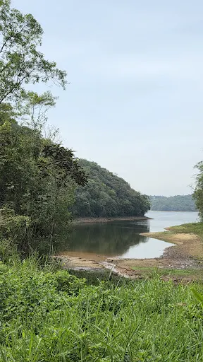 Foto 7 de Parque Estadual Águas da Billings -