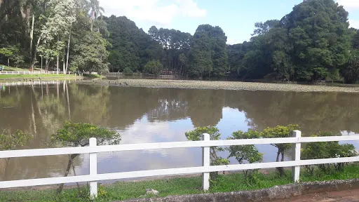Foto 12 de Palácio do Horto Florestal (Palácio de Verão do Governador)