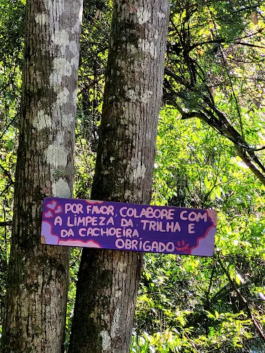 Foto 19 de Trilha Cachoeira da Graça