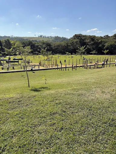 Foto 19 de Mundo das Crianças