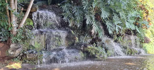 Foto 14 de Praça da Cachoeira
