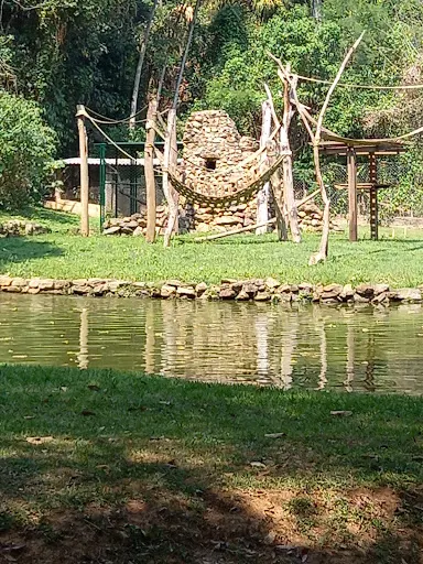 Foto 13 de Zoobosque