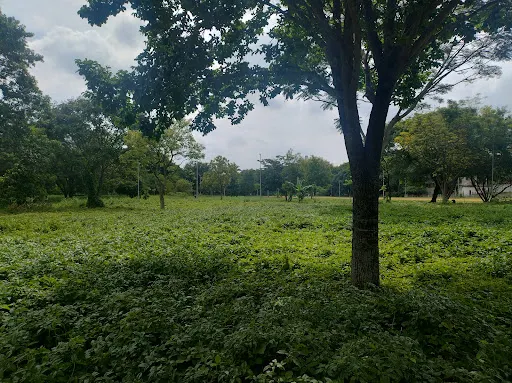 Foto 35 de Parque Trote
