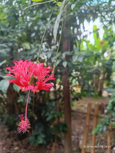 Foto 11 de Parque Ecológico Profª Lydia Natalizio Diogo - Vila Prudente