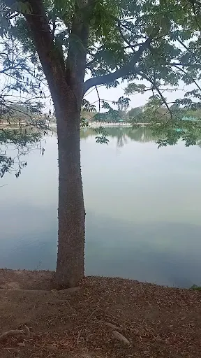 Foto 13 de Trem Turístico - Parque Ecológico