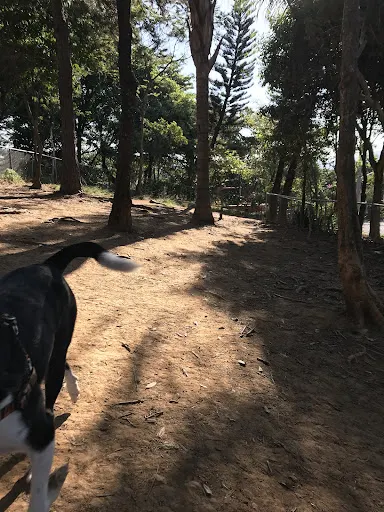 Foto 25 de ParCão Lapa - Praça Amadeu Decome