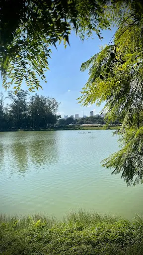 Foto 35 de Parque Ibirapuera