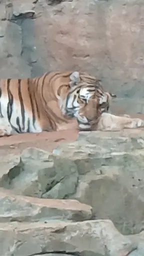 Foto 32 de Zoo São Paulo